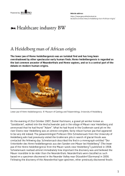 A Heidelberg man of African origin