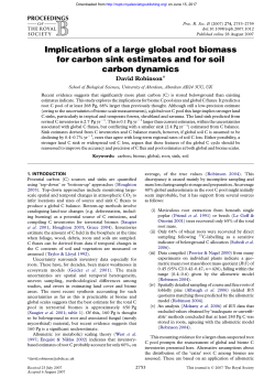 Implications of a large global root biomass for carbon sink estimates