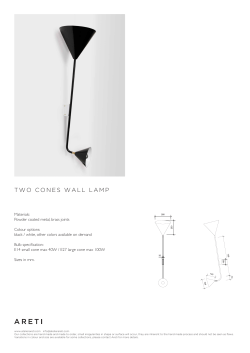 2 Cones Wall