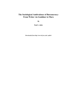 The Sociological Ambivalence of Bureaucracy