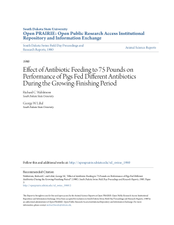 Effect of Antibiotic Feeding to 75 Pounds on