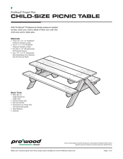 ProWood Child-Size Picnic Table Project Plan