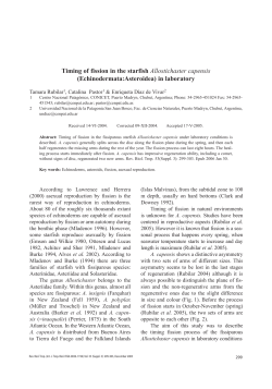 Timing of fission in the starfish Allostichaster capensis