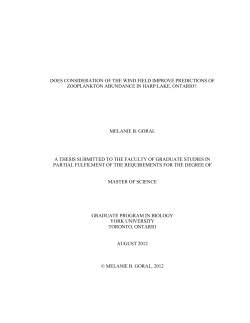 DOES CONSIDERATION OF THE WIND FIELD IMPROVE