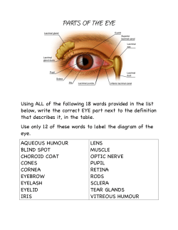 parts of the eye