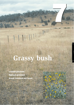 Grassy bush - Department of Primary Industries, Parks, Water and