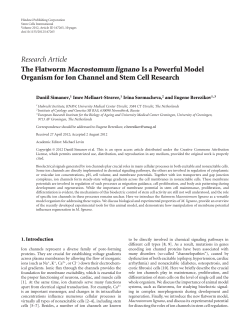 The Flatworm Macrostomum lignano Is a Powerful Model