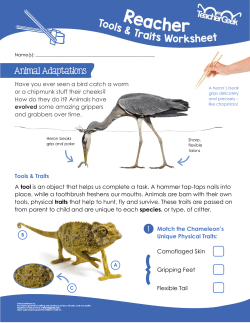 Have you ever seen a bird catch a worm or a