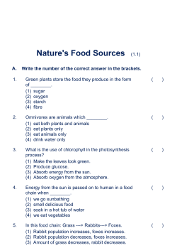 Nature`s Food Sources
