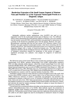 Baculovirus Expression of the Small Genome Segment of Hantaan