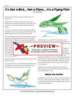 It`s Not a Bird... Not a Plane... It`s a Flying Fish!