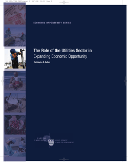 The Role of the Utilities Sector in Expanding Economic Opportunity