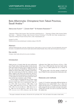 Bats (Mammalia: Chiroptera) from Tabuk Province, Saudi Arabia