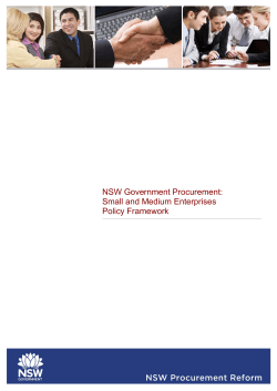 SME-policy-framework v1.1 - ProcurePoint