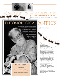 entomological ant ics - Connecticut Archaeology Center