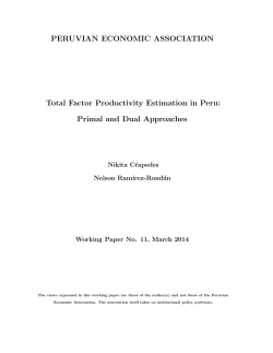 PERUVIAN ECONOMIC ASSOCIATION Total Factor Productivity