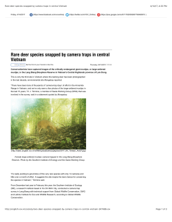 Rare deer species snapped by camera traps in central Vietnam