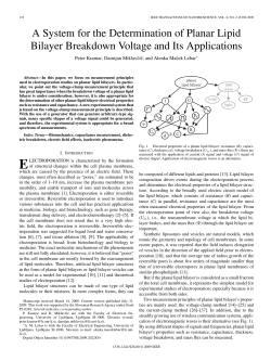 A System for the Determination of Planar Lipid Bilayer Breakdown