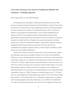 Conversion of Energy Cane and Sweet Sorghum into Biofuels and