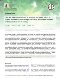 Electron transport efficiency at opposite leaf sides - CREAF