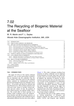 7.02 The Recycling of Biogenic Material at the Seafloor