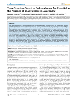 Three Structure-Selective Endonucleases Are Essential in the