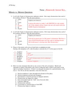 Name _Homework Answer Key_ Mitosis vs. Meiosis Questions