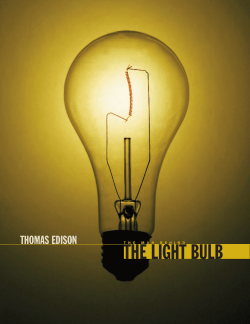 the light bulb - Dixon Valve US