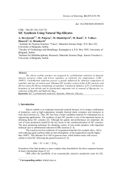 SiC Synthesis Using Natural Mg-Silicates