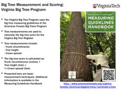 here - Virginia Big Tree Program