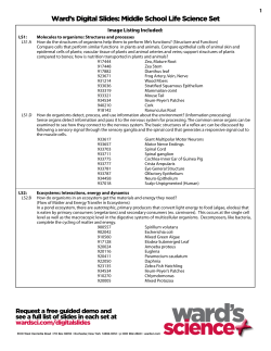 Image Listing Included