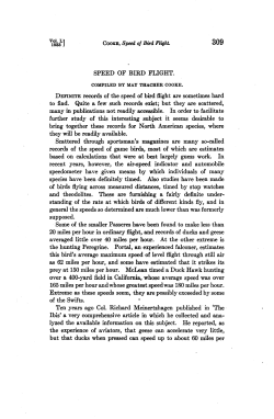 SPEED OF BIRD FLIGHT