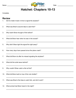 Hatchet: Chapters 10-13