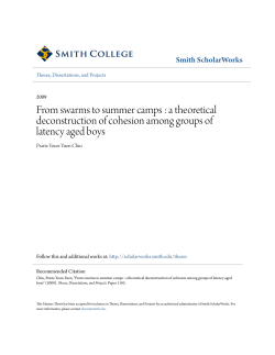 From swarms to summer camps : a theoretical