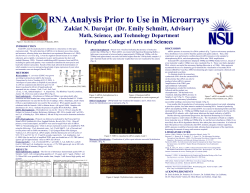 Sample Poster Layout - Farquhar Honors College