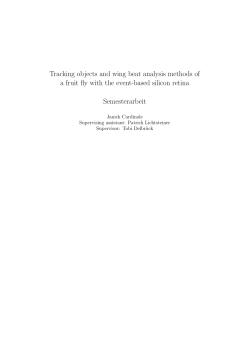 Tracking objects and wing beat analysis methods of a fruit fly with