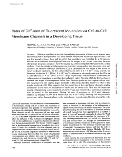 Rates of Diffusion of Fluorescent Molecules via Cell-to