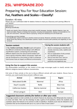 Fur, Feathers, Scales Classify