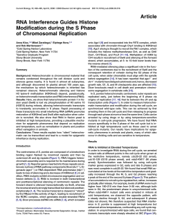 RNA Interference Guides Histone Modification during the S Phase of