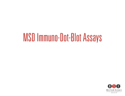 MSD Immuno-Dot-Blot Assays