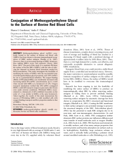 Conjugation of methoxypolyethylene glycol to the