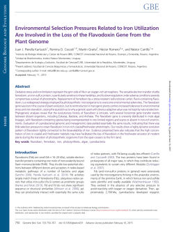 Environmental Selection Pressures Related to Iron Utilization Are
