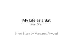 My Life as a Bat