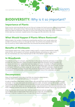 Biodiversity: Why is it so important?