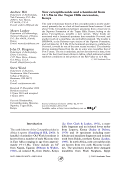 New cercopithecoids and a hominoid from 12.5 Ma in the Tugen