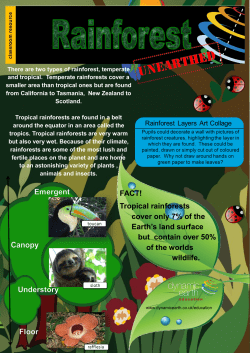 FACT! Tropical rainforests cover only 7% of the Earth`s land surface