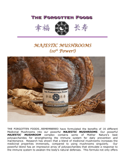 MAJESTIC MUSHROOMS (10th Power!)