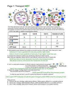 Class5 POGIL Membrane Transport KEY