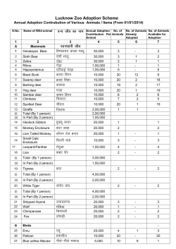 List of Animals available for Adoption