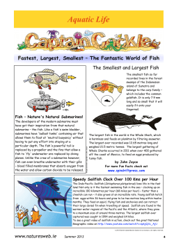 Page 4 - Nature`s Web